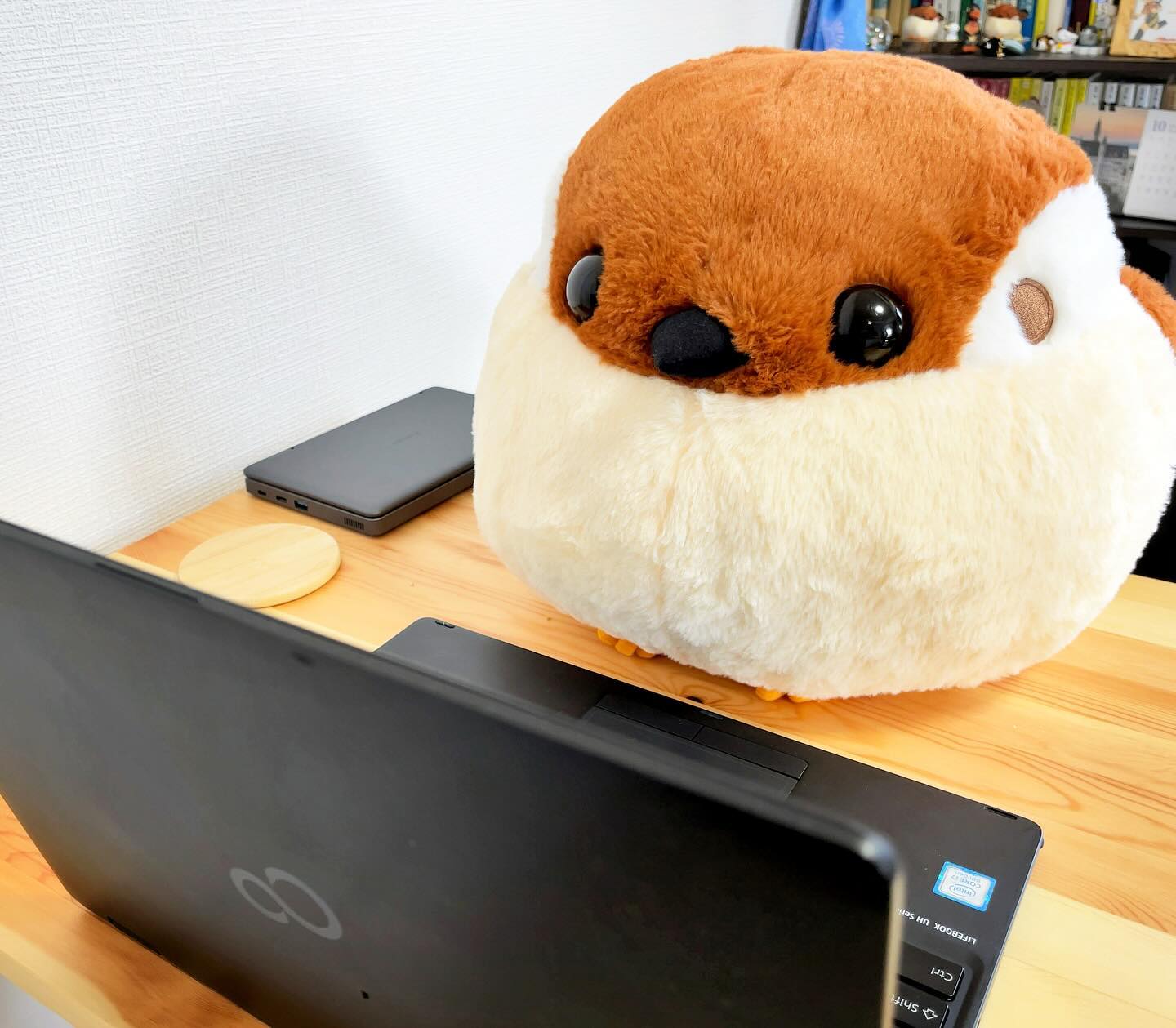 ちゅんすけ
