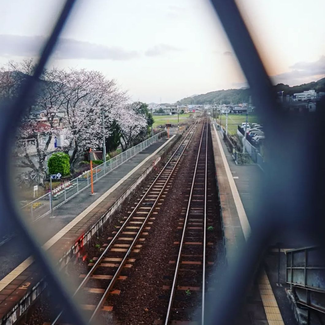 train